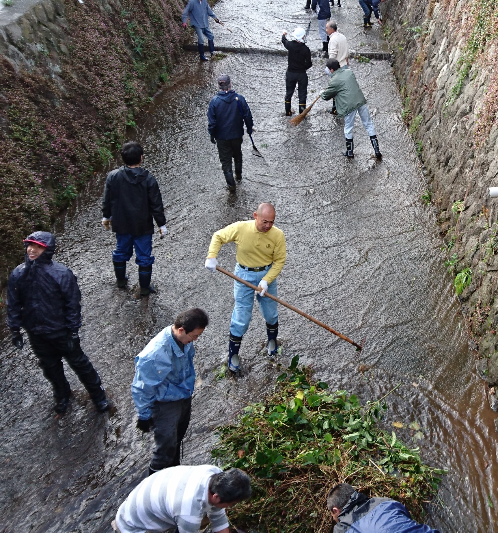 地域清掃活動29年11月