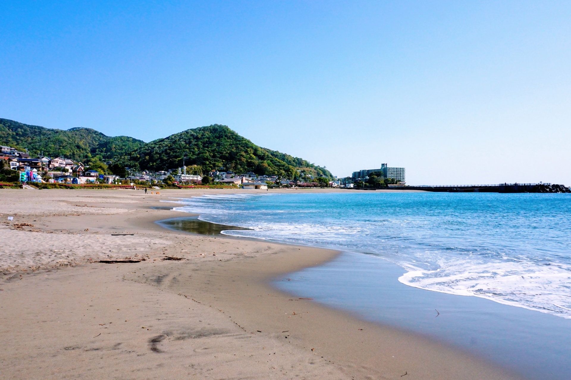 サンプルお知らせ